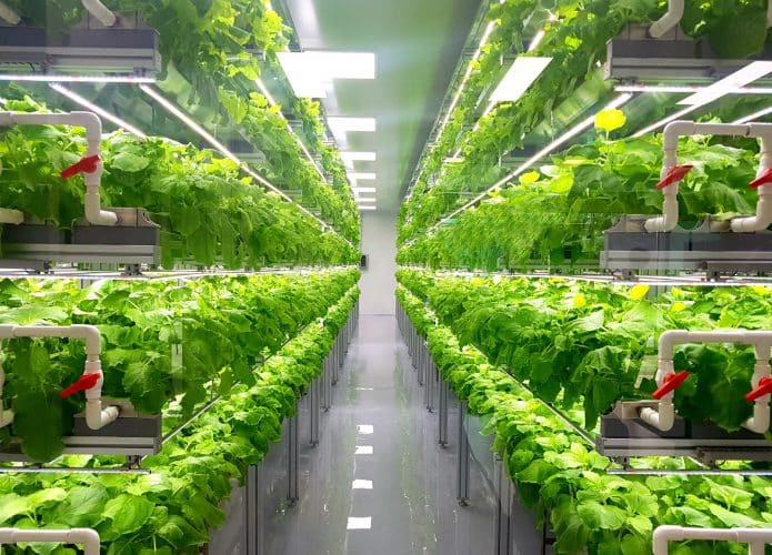 Agrotech-Plannt-695x500