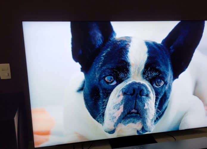 Samsung TV QN800B review