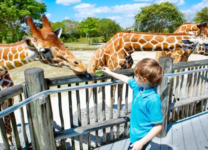 Zoológico