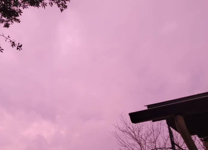 ceu_rosa_dallas-e1671171667855-695x500.webp