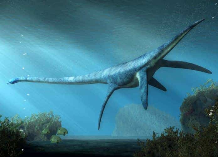 dinossauro-natacao-fossil