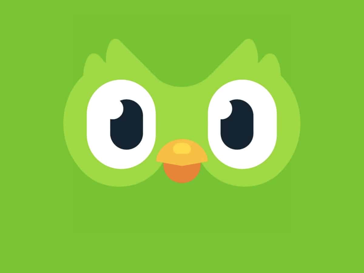 duolingo-idiomas-relatorio-global-frase-do-ano