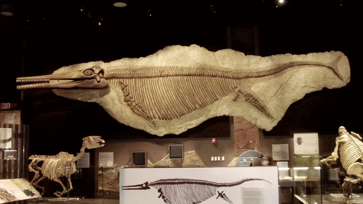 ictiossauros