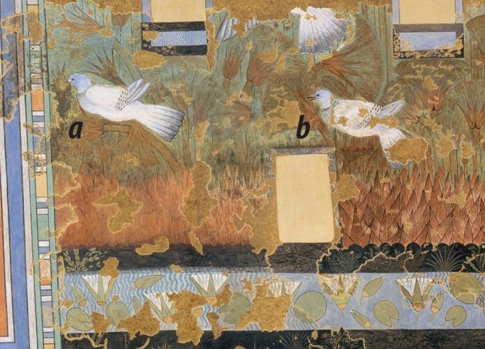 Pombos-da-rocha retrados em copia de mural egípcio[imagem: Domínio público; The Metropolitan Museum of Art, Nova York; Antiquity Publications Ltd.]