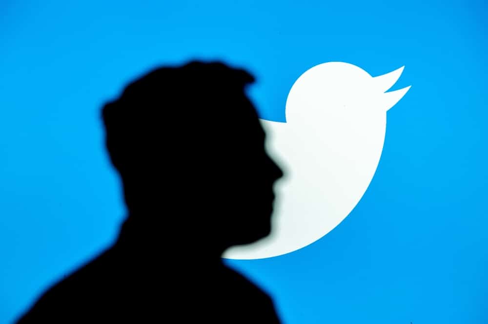 elon musk twitter