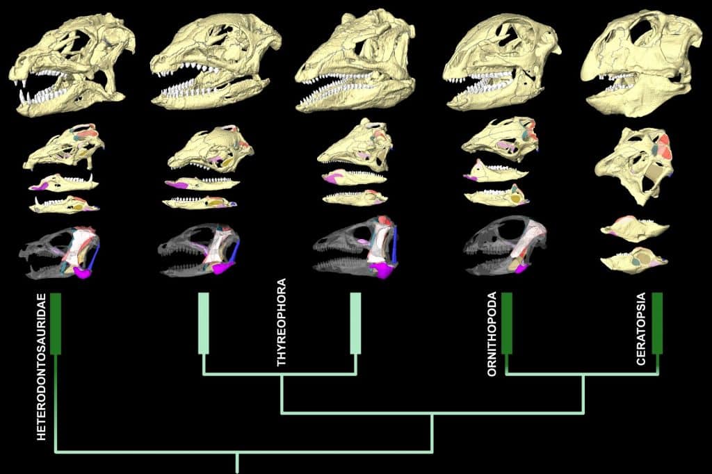 alimentacao-dinossauro-analise