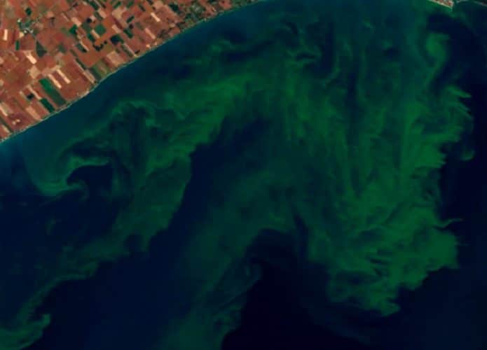 floracao-de-algas-toxicas-nasa-695x500