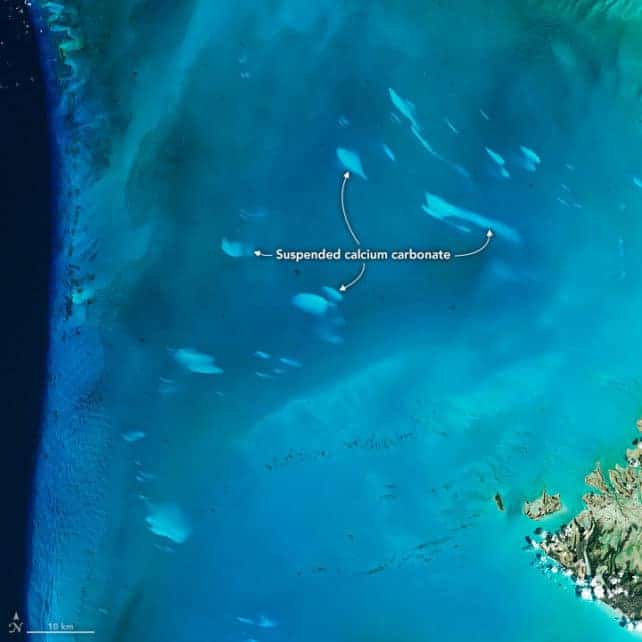Um evento whiting nas Bahamas