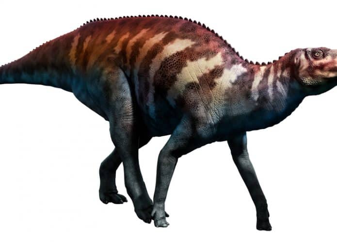 Edmontosaurus (Credito: Shutterstock)