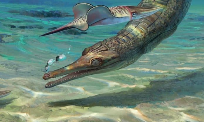 Representação do crocodilo marinho da espécie Turnersuchus hingleyae (Credito: Júlia d'Oliveira)