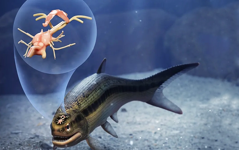 Brasileiro descobre cérebro fossilizado de 319 milhões de anos