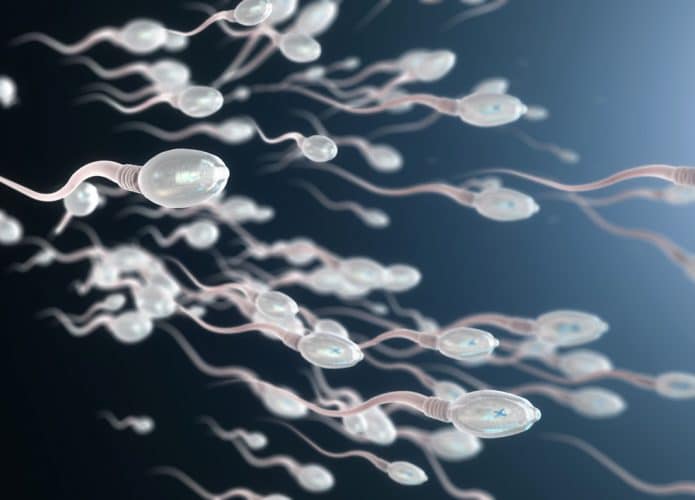 contraceptivo