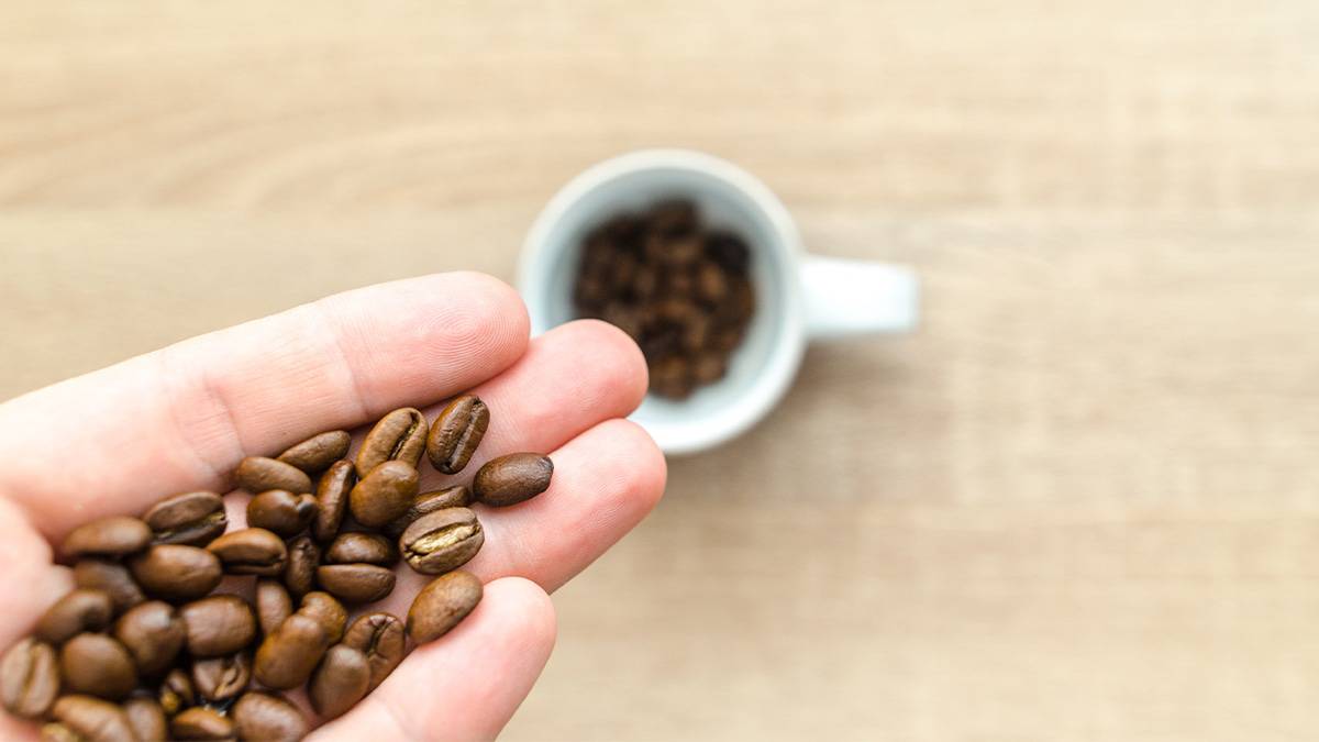 Pessoa segurando grãos de café em cima de xícara também com grãos dentro