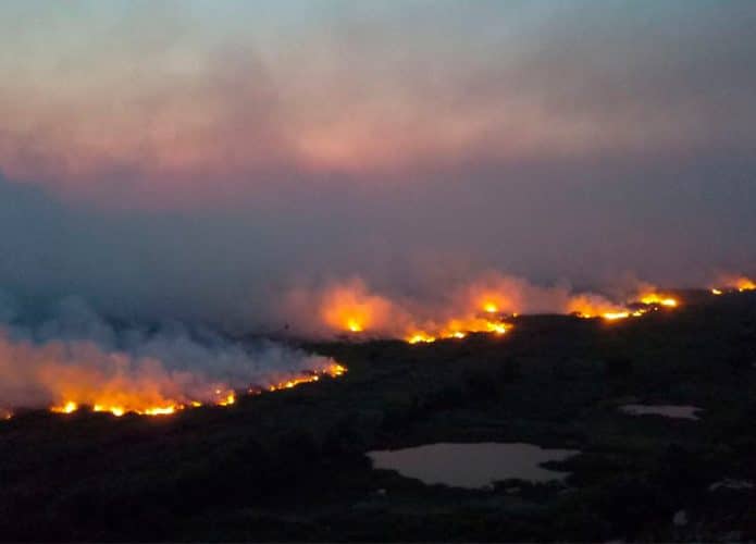 Queimadas no Pantanal em 2020