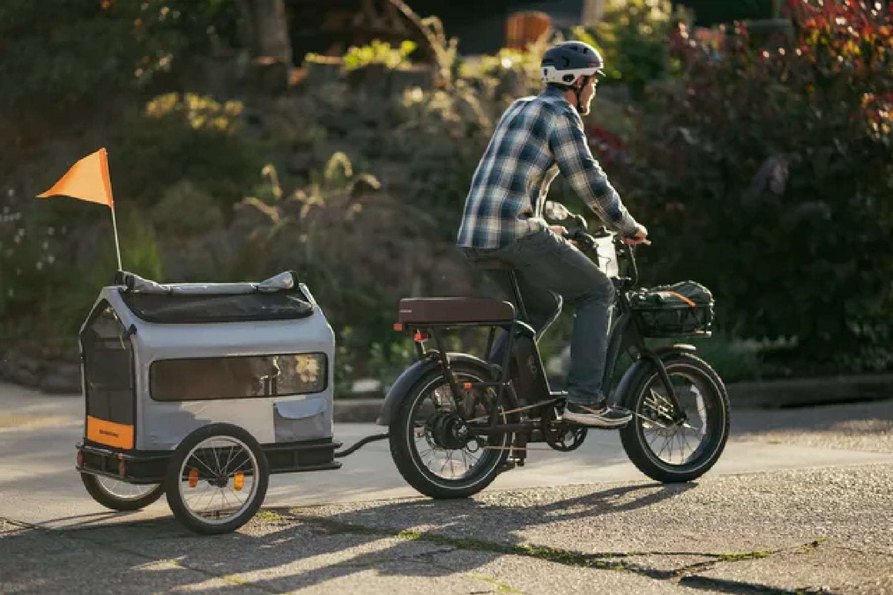 RadRunner 3 Plus: a e-bike feita para você e seu pet