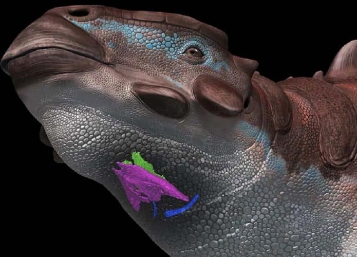 aparelho-de-voz-dinossauro-695x500