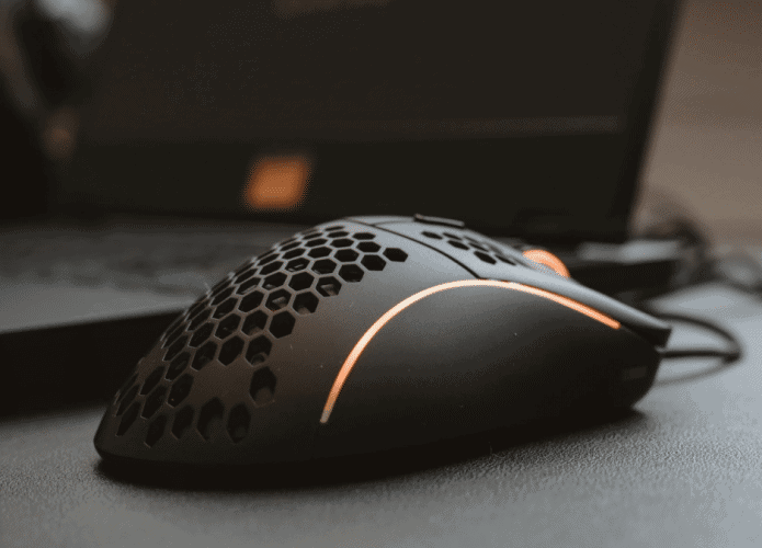 mouse-695x500.png