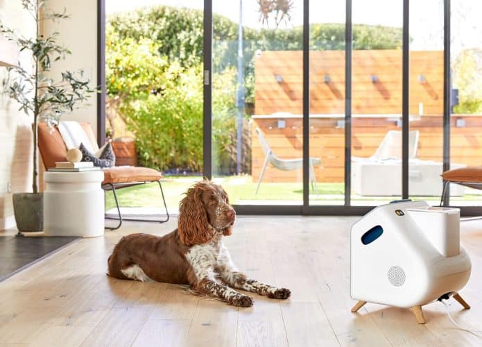 Cachorro deitado olhando para Companion, aparelho com IA que serve de babá