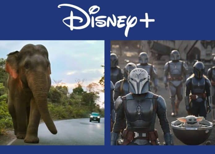 disney+