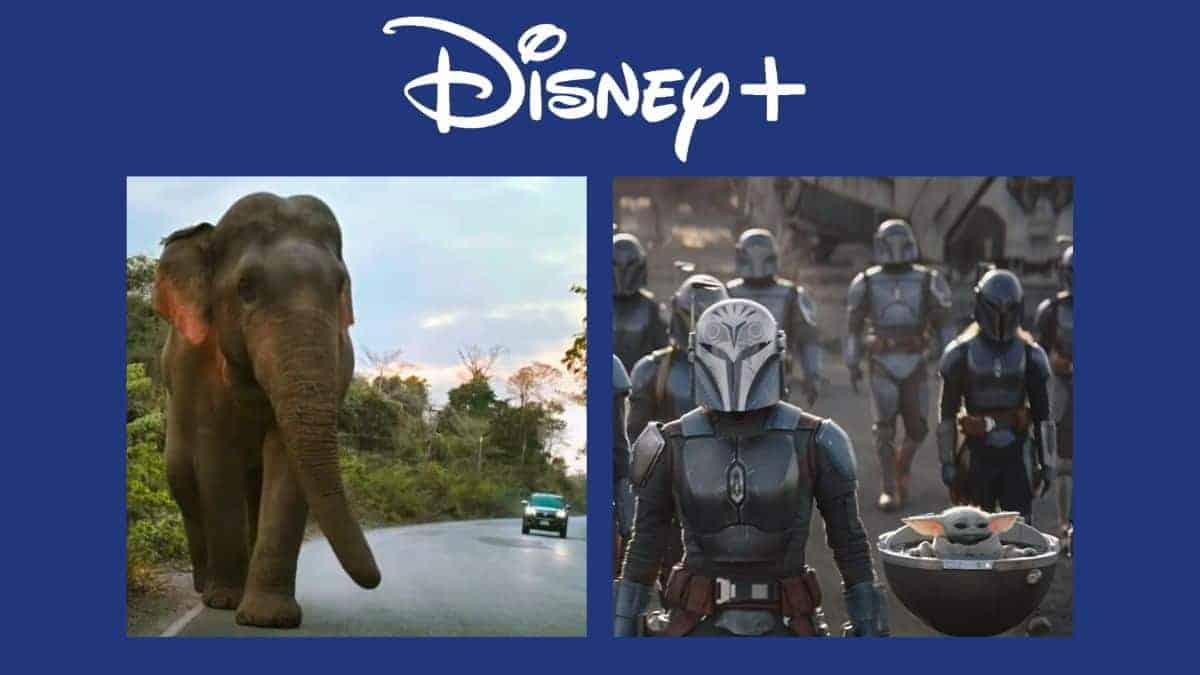disney+