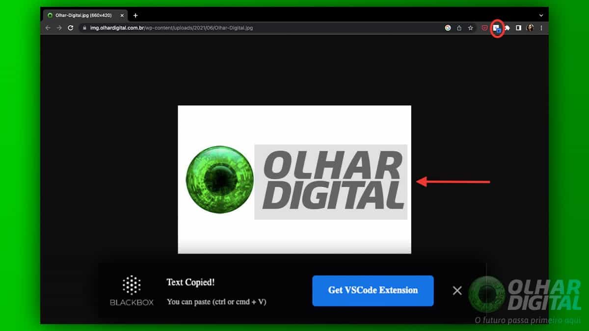 Tela da extensão Blackbox do Google Chrome para extrair textos de imagens
