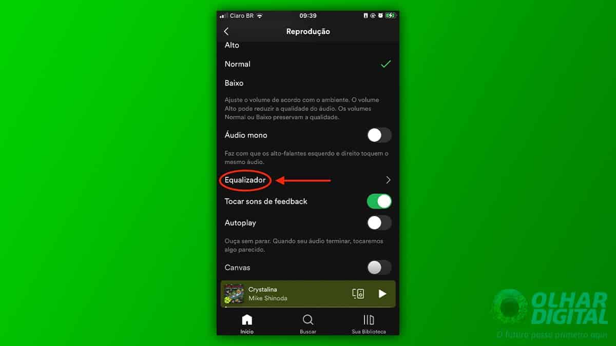 Tela de configurações de reprodução do Spotify no iPhone