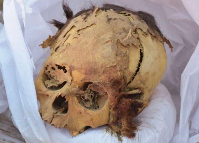 O crânio da múmia adolescente descoberta no Peru