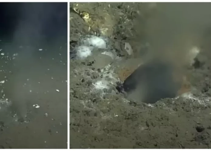Buracos expelindo fluidos no fundo do mar, na costa de Oregon (Credito: Universidade de Washington)