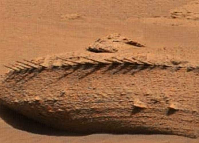 fossil-dragao-marte-curiosity-695x500