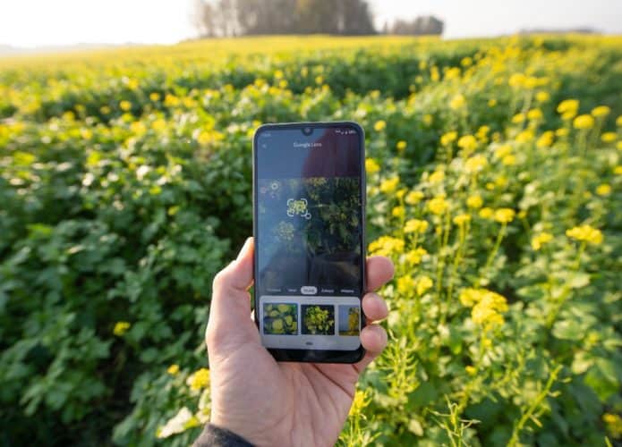 Google Lens é uma das ferramentas gratuitas de busca reversa de imagem
