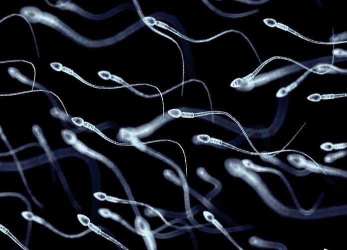 iStock-1164513662-695x500