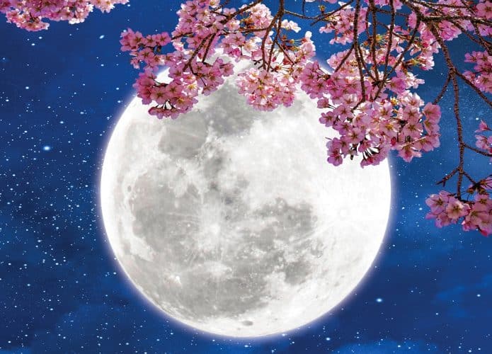 lua-cheia-de-abril-lua-rosa-695x500