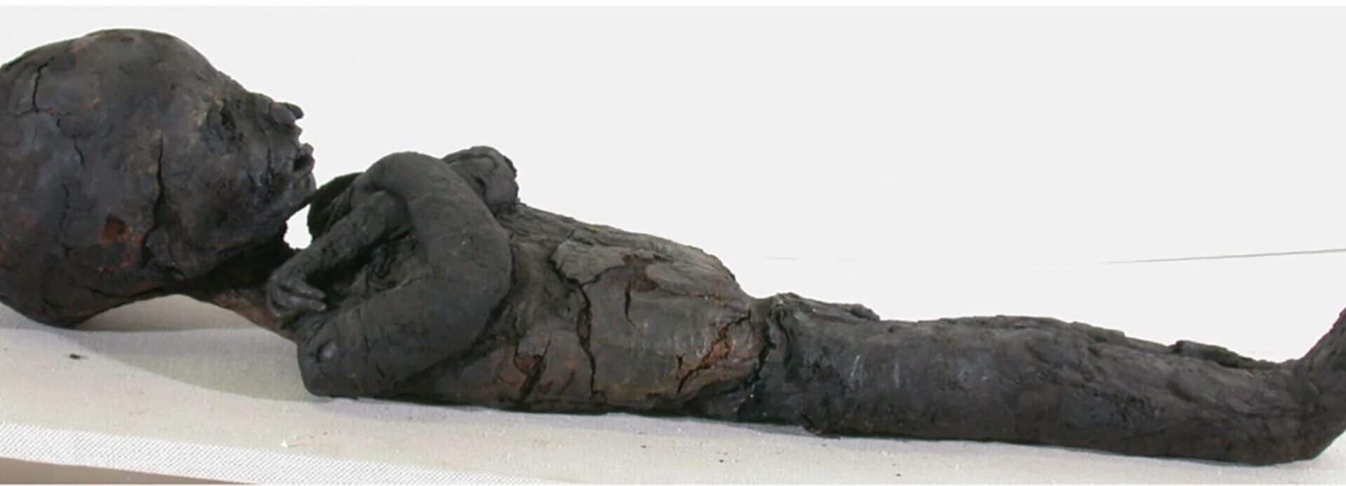 Uma das múmias de criança investigada no estudo (Credito: SMB/Ägyptisches Museum und Papyrussammlung/Jens Klocke )