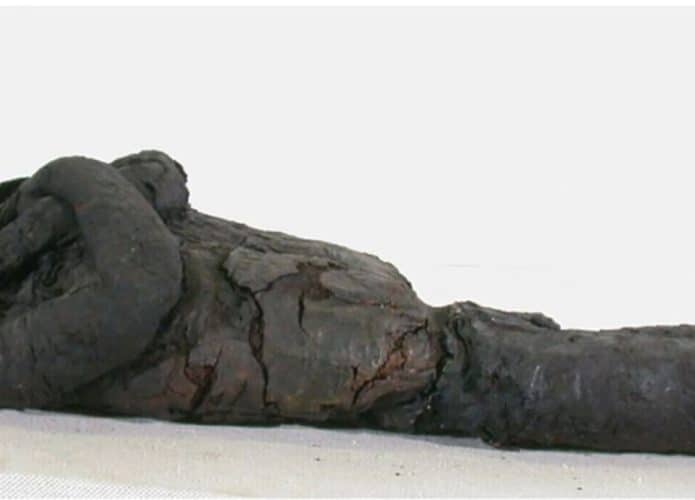 Uma das múmias de criança investigada no estudo (Credito: SMB/Ägyptisches Museum und Papyrussammlung/Jens Klocke )