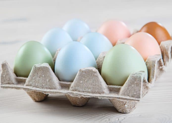 Ovos azuis, verdes, brancos e marrons. (Credito: Mikalaj Mienciuk/ Shutterstock)