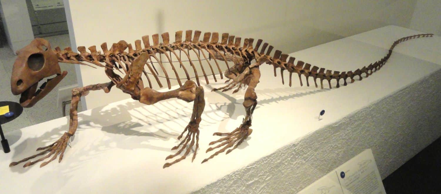 trilophosaurus