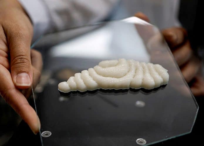 Cientista segurando filé de peixe impresso em impressora 3D