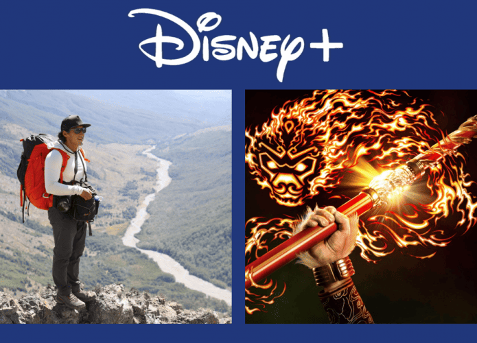 disney+