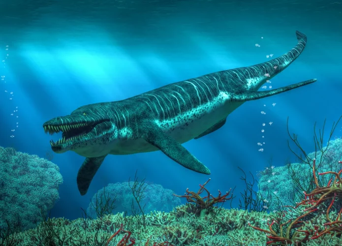 Descoberta pode revelar verdadeiro tamanho de monstro marinho (Credito: Daniel Eskridge/Shutterstock)