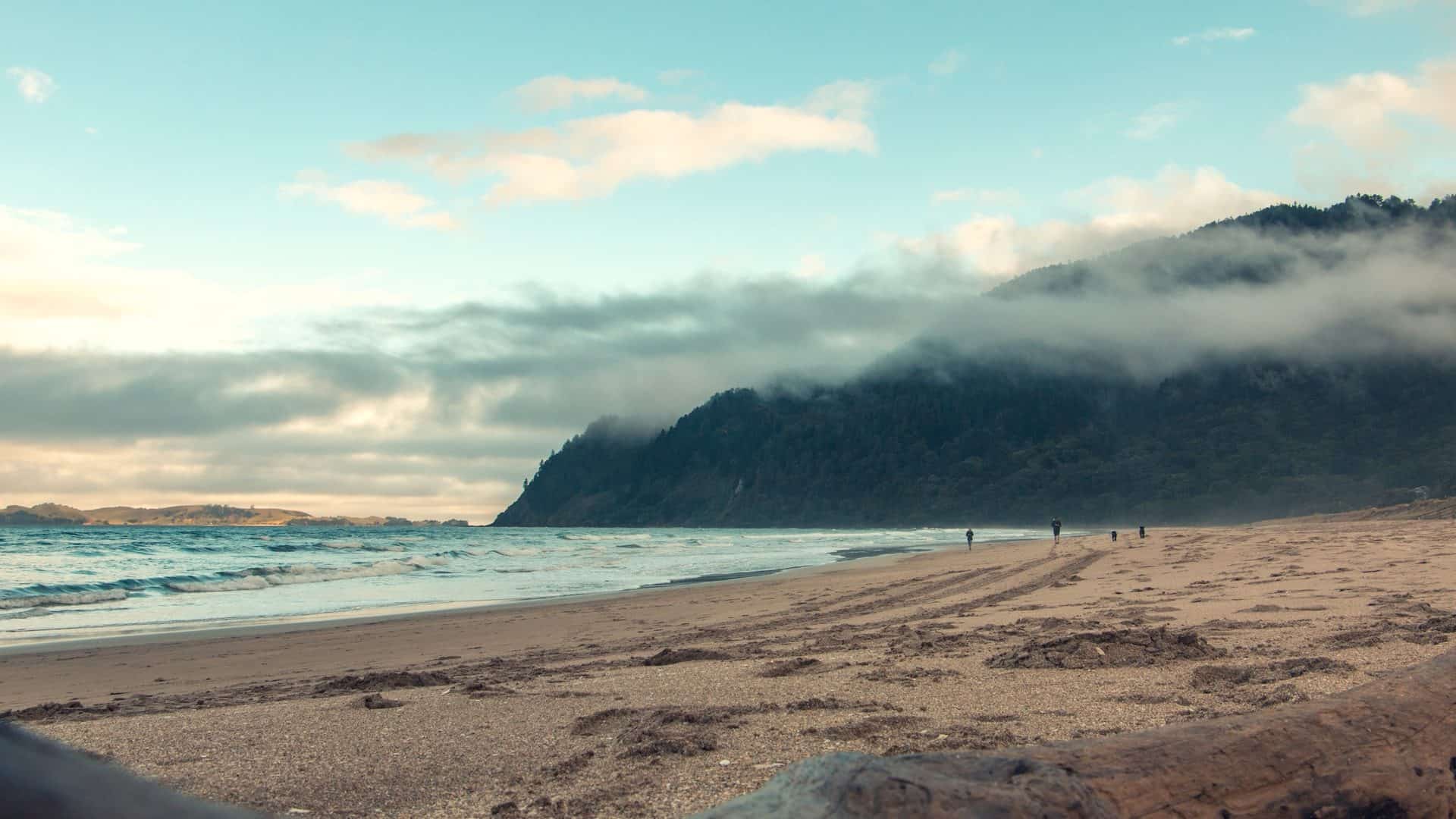 Pauanui, Nova Zelândia. Foto: Ivan Sanford/Unsplash