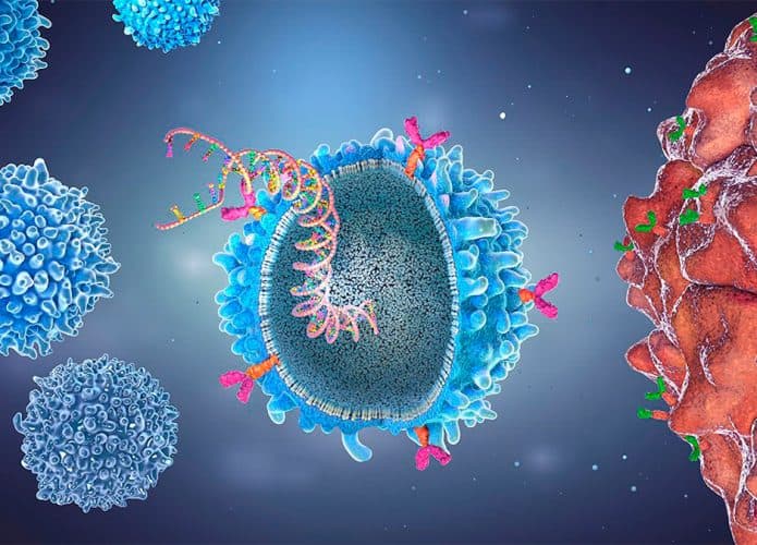 Célula aberta com material genético entrando, cercada de outras células