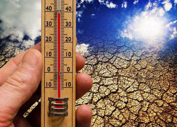 temperatura ideal terra