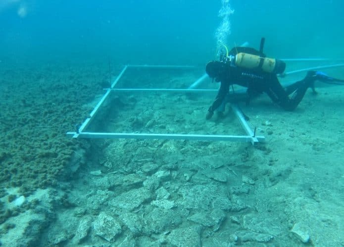 estrada-submersa-mar-mediterraneo-695x500