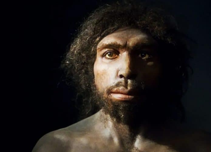 Representação gráfica em 3D de Homo sapiens