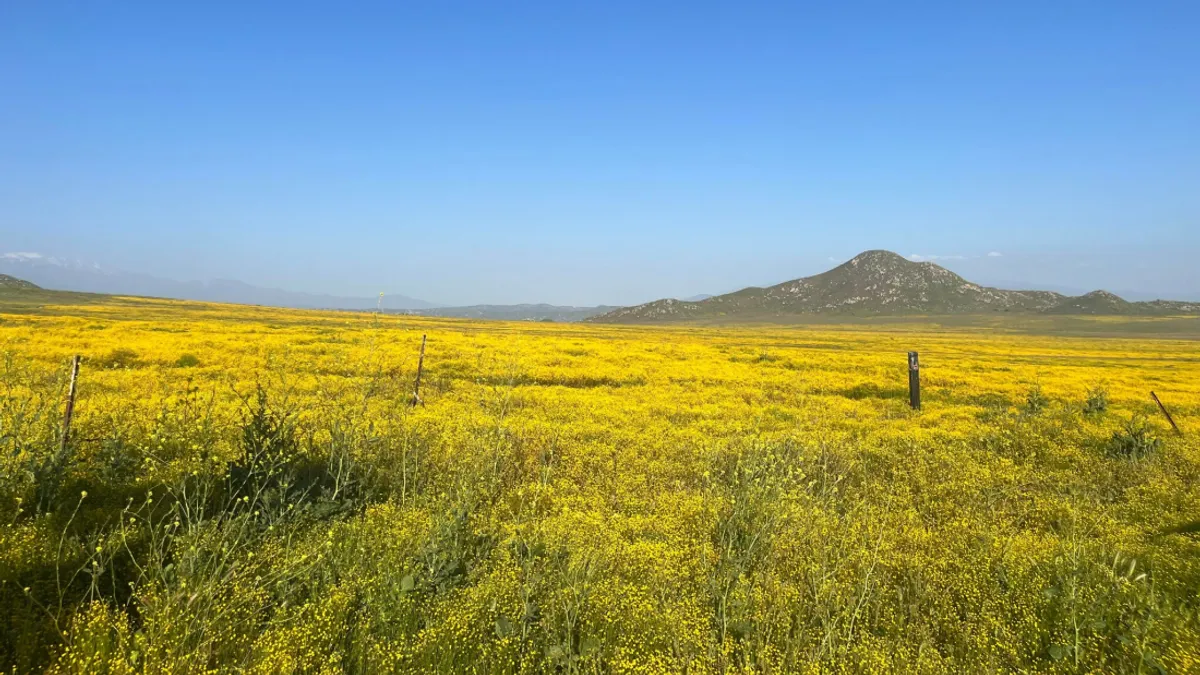 stinknet-arizona-l.webp