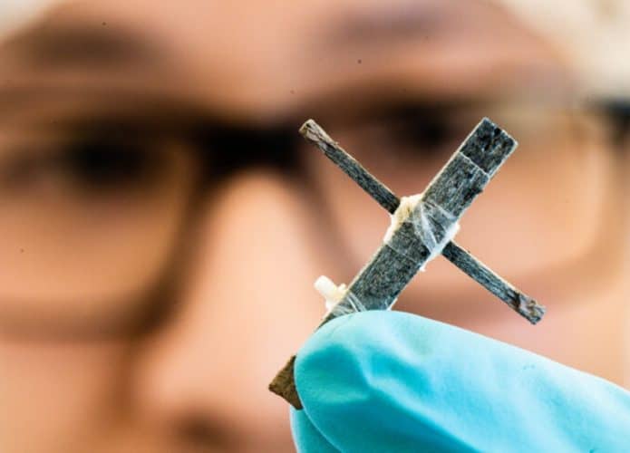 Pesquisadores da Linköping University e KTH Royal Institute of Technology inventam primeiro transistor de madeira