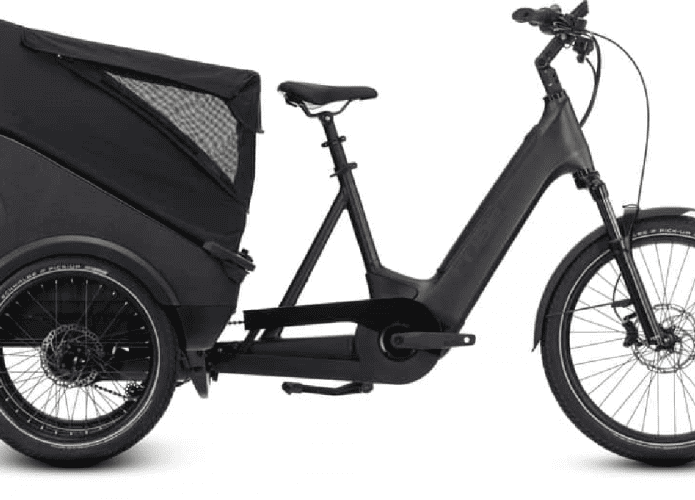 trike-hybrid-black-1-695x500.png