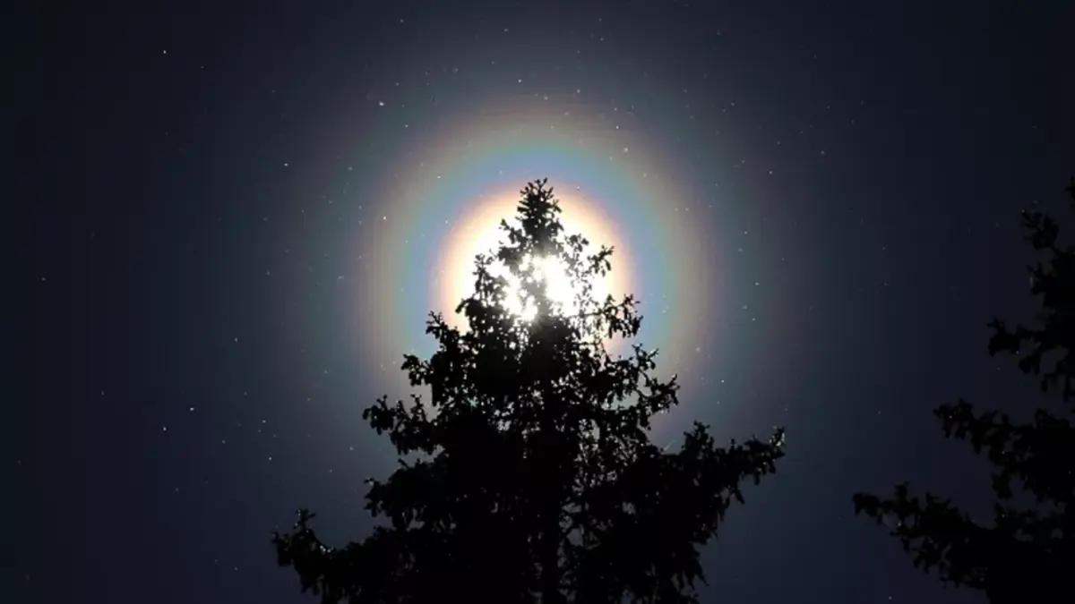Os anéis de arco-íris em volta do Sol são causados por grãos de pólen