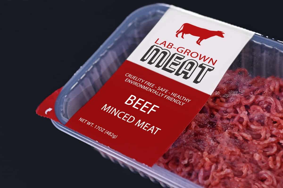 Carne criada em laboratório já pode ser produzida e vendida nos EUA