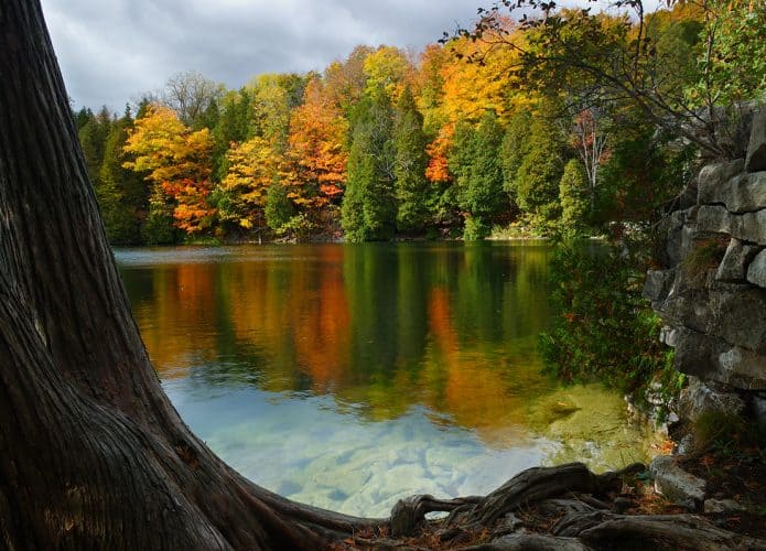 crawford-lake-695x500